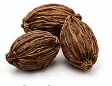 Large Cardamom