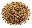 Carom Seeds