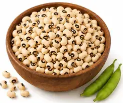 Lobia