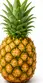 अनानास (Ananas)