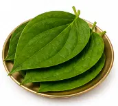 Betel Leaf