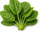 पालक (Palak)