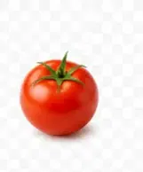 टमाटर (Tamatar)