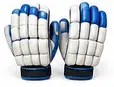 बैटिंग ग्लव्स — Batting Gloves