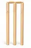 स्टंप्स सेट — Stumps Set