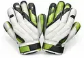 विकेट कीपिंग ग्लव्स — Wicket Keeping Gloves
