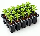 Seed Tray / Seedling Tray — बीज ट्रे (Propagation Tray)