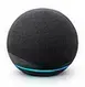 Smart Speaker / Voice Assistant — स्मार्ट स्पीकर (Alexa / Google)