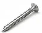 Screw (Pench) 2 Inch