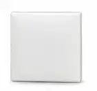 Blank Plate