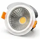 COB Light