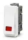 Indicator Switch