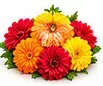 Flowers / Pushpa — फूल (Fresh Flowers for Offering)