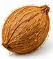 Coconut / Nariyal — नारियल (Auspicious Whole Coconut)