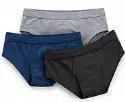 अंडरगारमेंट्स — Undergarments