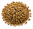 अजवाइन (Ajwain)