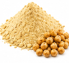सत्तू (Sattu)