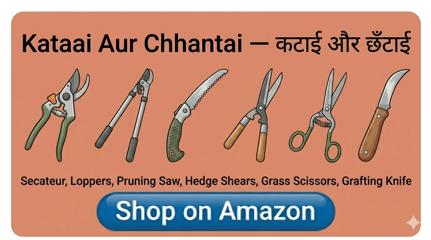 Kataai Aur Chhantai — कटाई और छँटाई Saman List Kataai Aur Chhantai — कटाई और छँटाई saman list items
