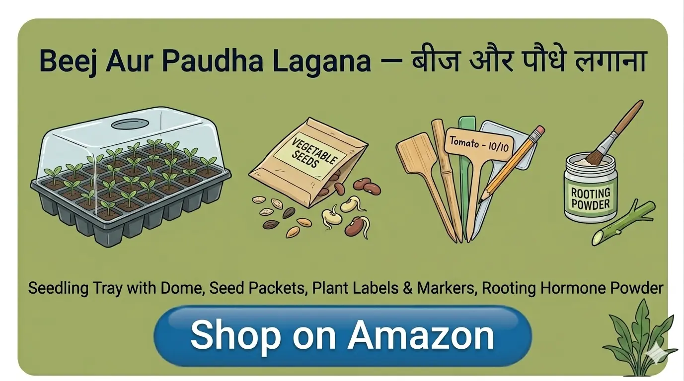 Beej Aur Paudha Lagana — बीज और पौधे लगाना Saman List Beej Aur Paudha Lagana — बीज और पौधे लगाना saman list items